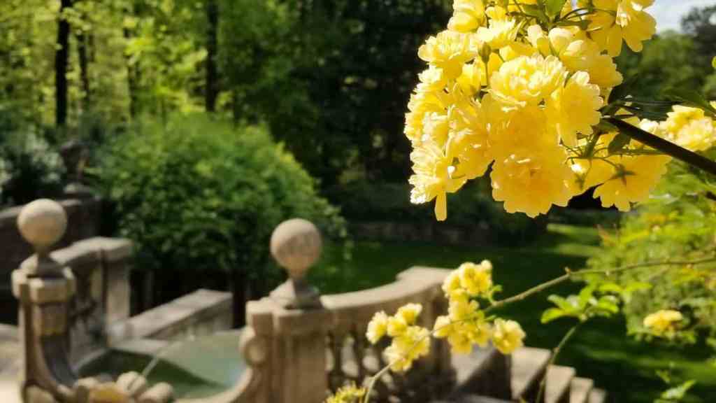 The Garden of Marriage Is Not Self-Sustaining